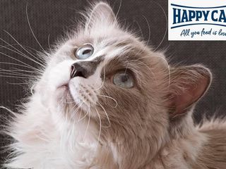 Корм для кошек Happy Cat! С доставкой! foto 3
