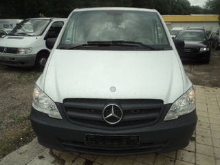 Mercedes Viano foto 10