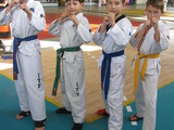Judo-Sambo-Taekwondo -  от 6 лет foto 10