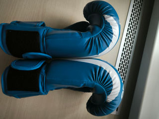 Mănuși de box,, Boxing Junior " foto 4