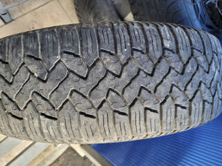 Продам одну итальянскую зимнею шину Pirelli 215/55 R16 97H M+S Б/У за 300 лей. foto 8