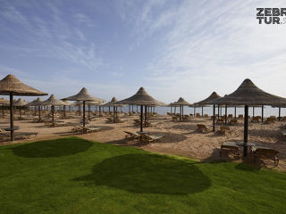 Egipt, Sharm El Sheikh - Jaz Belvedere 5* foto 5