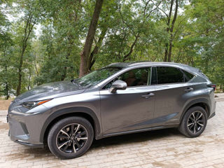 Lexus NX Series foto 10