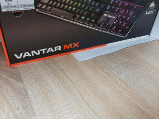 Tastatura Cougar Vantar MX,Pret-890lei