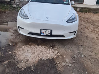 Tesla Model Y foto 2