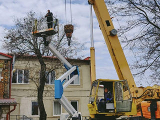 Servicii de curățare, tăiere a copacilor, crengilor uscate, greu accesibile! foto 16