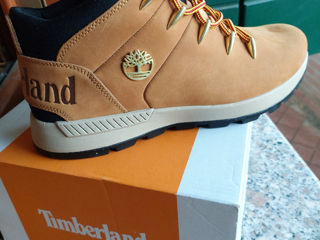 Timberland foto 2