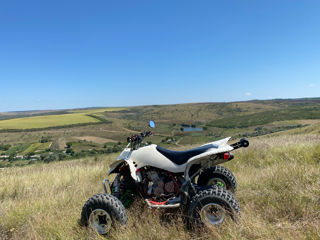 Suzuki Ltz 450 foto 4