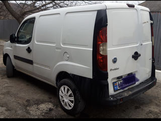 Fiat Doblo Cargo foto 2