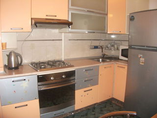 Apartament    Euro et 3 de mijloc + autonoma   Moscovei Voevod   aliosina MK. Donalds  green hilss . foto 5