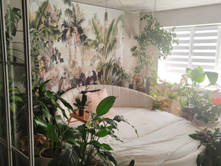 Ap. 2 cam., 49 м², 14/14 et.