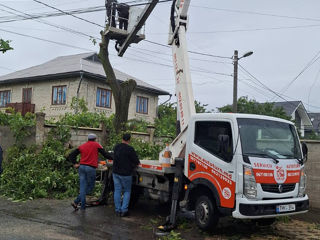 Servicii complexe de tăiere și toaletare copaci! foto 11