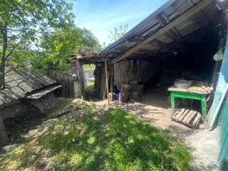 R-nul Ialoveni, sat Nimoreni Casa bătrânească foto 9