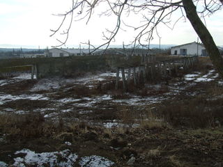 Teren constr.3.2 ha.Ferma  -3 grajdur de1800m2, posibil contractat 500ha-agric. foto 2