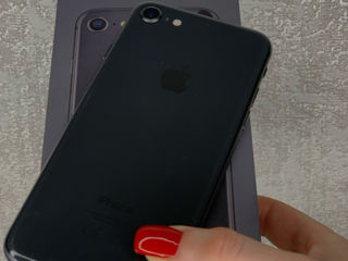 Apple 8 foto 5