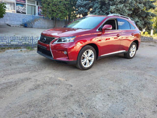 Lexus RX Series