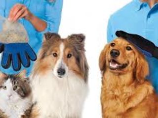 Pet Brush Glove - перчатка для расчеcки шерсти животных foto 3