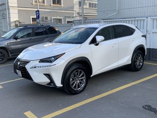 Lexus NX Series