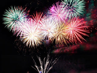 Artificii, Botanica! foto 1
