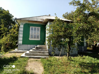 Продам два дома в селе Тырново foto 9