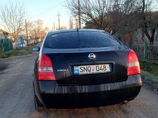 Nissan Primera foto 5