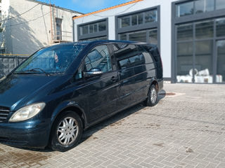 Mercedes Viano foto 2