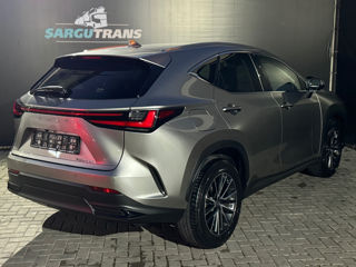 Lexus NX Series foto 4