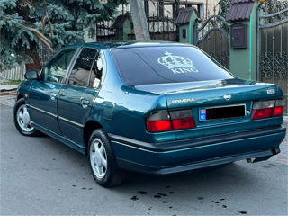 Nissan Primera foto 4