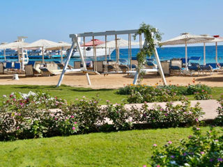 Hurghada! Amarina Abu Soma Resort & Aqua Park 5*! Din 07.09! foto 8