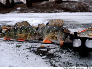 Балансиры для зимней рыбалки Lucky John Classic и Mebaru foto 3