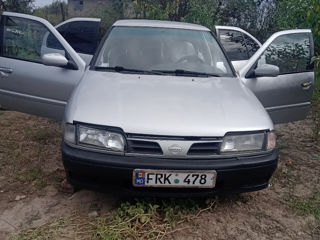 Nissan Primera foto 6