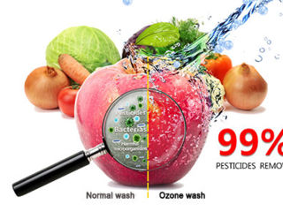 Ozonator-ionizator Green World. Озонатор-ионизатор Green World foto 4