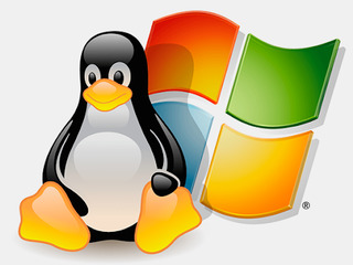 Установка Linux и Windows 24/7/365 лучший мастер.