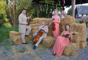 Cvartet de coarde "Vivo" Muzica pentru inregistrarea casatoriilor! foto 9