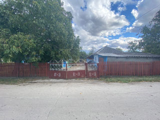 Продаю дом в селе Егоровка, Фалештского района foto 2