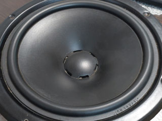 1 динамик  Dynaudio 19W38