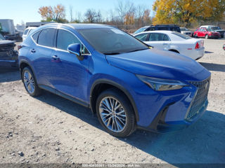 Lexus NX Series