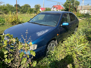 Nissan Primera foto 2