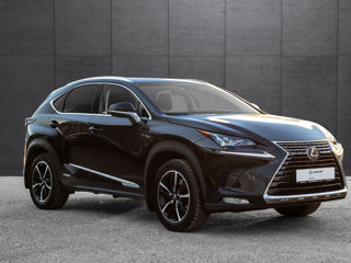 Lexus NX Series