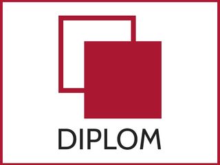 www.diplom.md - teze de masterat, teze de licență, teze de an, referate, traduceri.