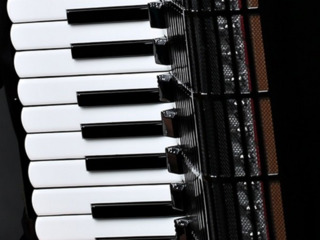 Lectii de acordeon si clape online
