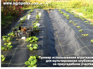 Agril(агроволокно) от2 лей Агроткань .Agrostofe Polonia. foto 7
