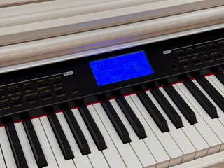 Pian digital :digital piano dk-200a foto 8