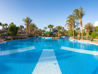 Golf beach resort managed by Rixos 5* -Шарм эль Шейх.Роскошная , зелёная территория!!! foto 3