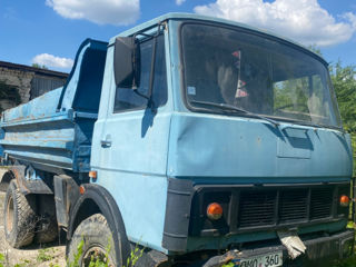 MAZ 5551