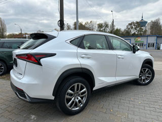 Lexus NX Series foto 4