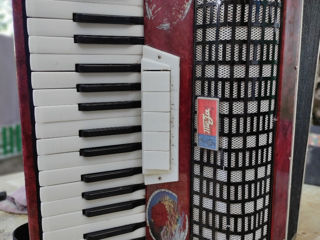 Acordeon Romasca foto 3