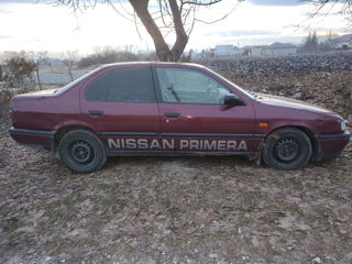 Nissan Primera foto 3