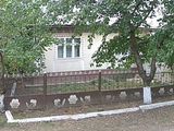 Продается дом рышканы,малиновка foto 1