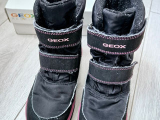 GEOX Amphibiox iarna